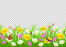 Flowers And Grass Border, Yellow And White Chamomile And Delicate Pink Meadow Flowers And Green Grass, Butterflies And Ladybug On Transparent Background, Vector Illustration, Card Decoration Element
