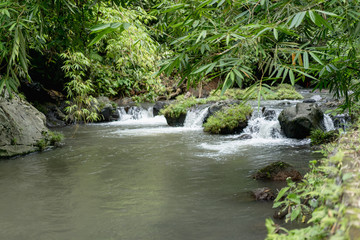 Wall Mural - beautiful scenic view of river, trees with green foliage and rocks, Bali, Indonesia