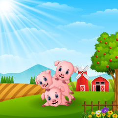 Sticker - Three little pig playing in the farm 