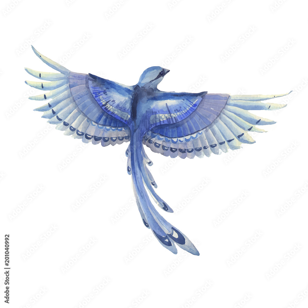 Blue Jay Bird Flying Watercolor Hand Drawn Illustration Blue Feathers Cute Bird Character Wall Mural Molokot Blue Jay Bird Flying Watercolor Hand Drawn Illustration Blue Feathers Cute Bird Character Wall Mural Molokot