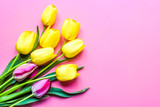Fototapeta Tulipany - Yellow and purple tulips on a pink background. Spring time.Top view.Flat lay.
