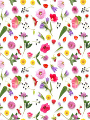 Wall Mural - pattern from plants, wild flowers and  berries, isolated on white background, flat lay, top view. The concept of summer, spring, Mother's Day, March 8. 