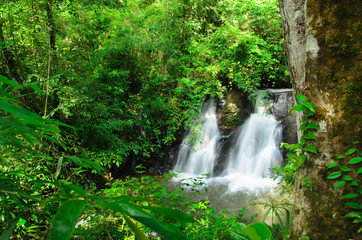 Waterfall in the green forest