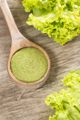 Sticker - Kale powder - Brassica oleracea var. Sabellica L.