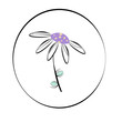 flower daisy drawing graphic in a circle