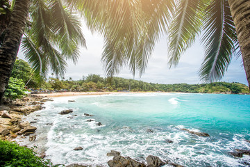 Coconut palm trees, beautiful tropical background, vintage filter