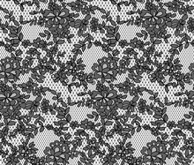 Seamless Floral Lace Pattern, Vector Illustration