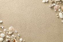 Sandy Beach Background With Shells And Stones