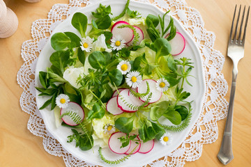 Wall Mural - Spring salad with chickweed, bedstraw and yarrow