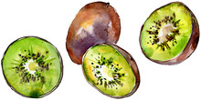 Exotic Kiwi Healthy Food In A Watercolor Style Isolated. Full Name Of The Fruit: Kiwi. Aquarelle Wild Fruit For Background, Texture, Wrapper Pattern Or Menu.