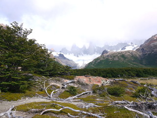 The trail to Piedras Blancas near El Chalten Patagonia.