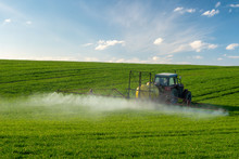 Farmer Spraying Green Wheat Field