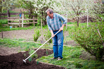 elderly man working in spring garden