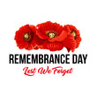 Remembrance day Lest We Forget vector poppy icons