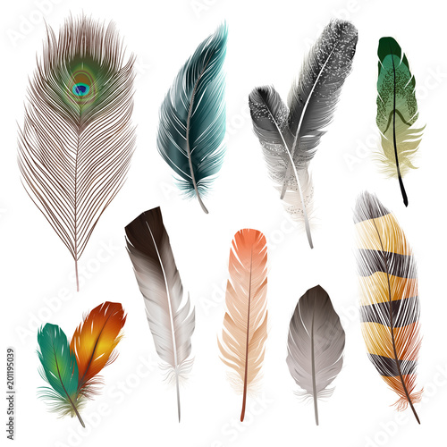 Bird Feathers Set Stock Vector | Adobe Stock