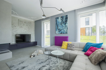 Stylish gray spacious living room