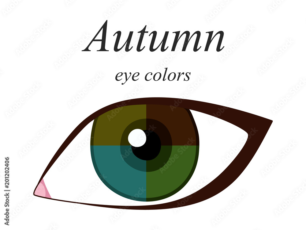 Stock vector seasonal color analysis palette for autumn type of female appearance. Eye colors for autumn type.  - obrazy, fototapety, plakaty 