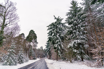 Sticker - Road in the Vosges mountains in winter. Bas-Rhin department of France