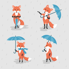 A Set Of Fox And An Umbrella.