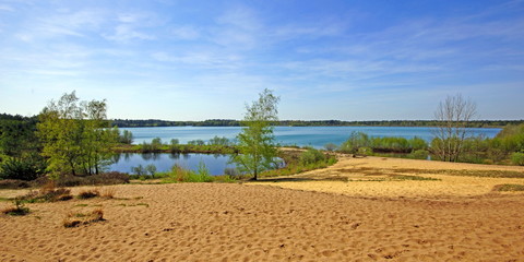 Canvas Print - REINDERSMEER / Nationalpark De Maasduinen / Limburg /Niederlande 