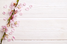 Single Spring Flowering Branch With A Lot Of Pink Blossoms On White Wooden Background. Rustic Composition, Many Spring Tree Flowers On Vintage Wood Textured Table. Close Up, Copy Text Space, Top View.