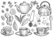 Collection of tea illustration, drawing, engraving, ink, line art, vector