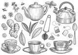 Fototapeta Dziecięca - Collection of tea illustration, drawing, engraving, ink, line art, vector