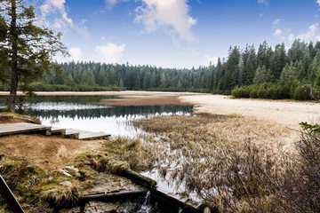 landscape of lovrenc lakes with wooden walking trails on rogla mountain, slovenia, europe.
