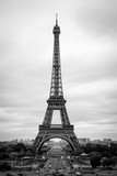 Fototapeta Paryż - Black and White Eiffel in May