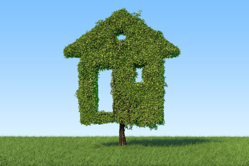 Wall Mural - Ecological house concept. Tree in the shape of home on the green grass against blue sky, 3D rendering