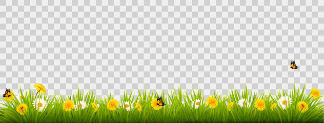Poster - Summer nature landscape banner with flowers and butterflies. Vector.