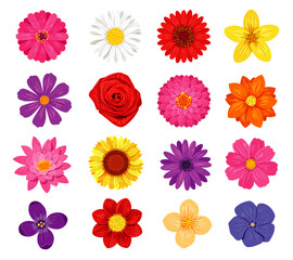 Vector flower set isolated on white background