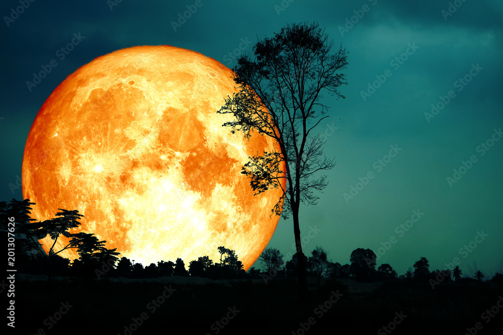 super full blood moon back silhouette branch tree dark forest blur sky ...