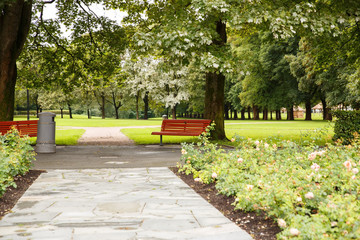 Wall Mural - Trees in the park