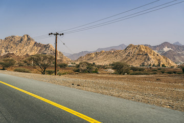 Wall Mural - On the road in the Emirates country