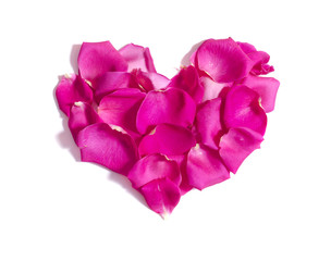 Pink rose petals heart on white background