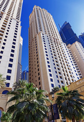 Wall Mural - Modern buildings in Dubai UAE