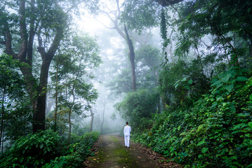 Woman walking vipassana meditation in a quiet misty forest