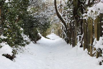 Snow Path 2