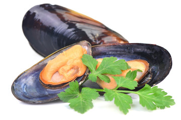 Canvas Print - Fresh mussel