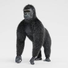 Realistic 3d Render Of Gorilla