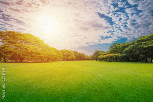 Green Grass Green Trees In Beautiful Park White Cloud Blue Sky In Sunrise Buy This Stock Photo And Explore Similar Images At Adobe Stock Adobe Stock