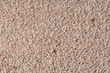 Golden Gritty Sand Closeup Background Texture
