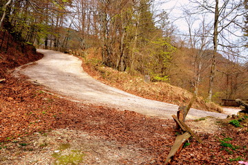 Road to the winter and touristic station Poiana Brasov, 12 km from Brasov, a town situated in Transylvania, Romania, in the center of the country. 300.000 inhabitants