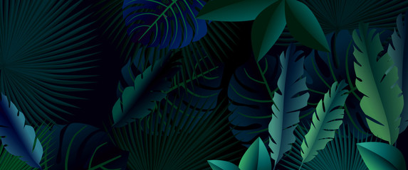 dark forest. the dark jungle