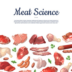 Poster - Vector cartoon meat elements background illustration with place for text