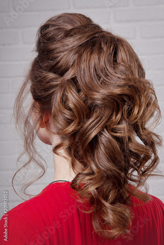 Hairstyle East Tail On The Head Brown Haired Side View Against A