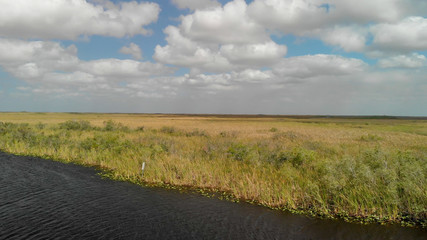 Wall Mural - Aerial view of Everglades landscape, Florida