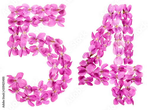 Poster Arabic numeral 54, fifty four, from flowers of viola, isolated on white backgrou