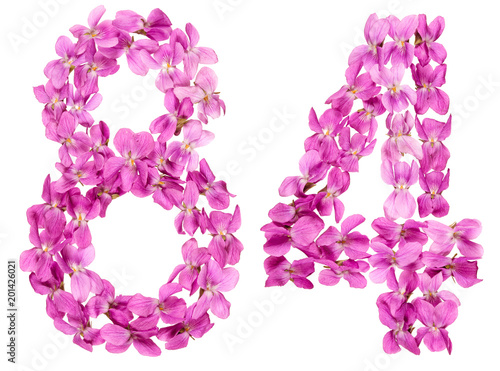 Poster Arabic numeral 84, eighty four, from flowers of viola, isolated on white backgro